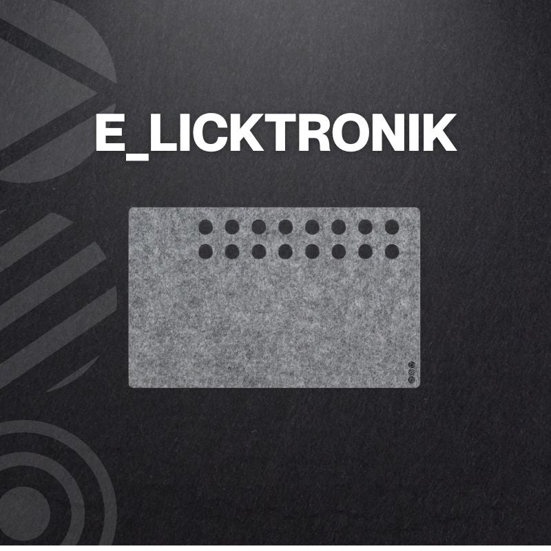 E_Licktronik